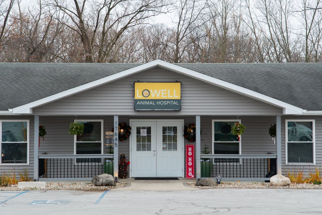 HighQuality Vet Hospital in Lowell, IN Lowell Animal Hospital